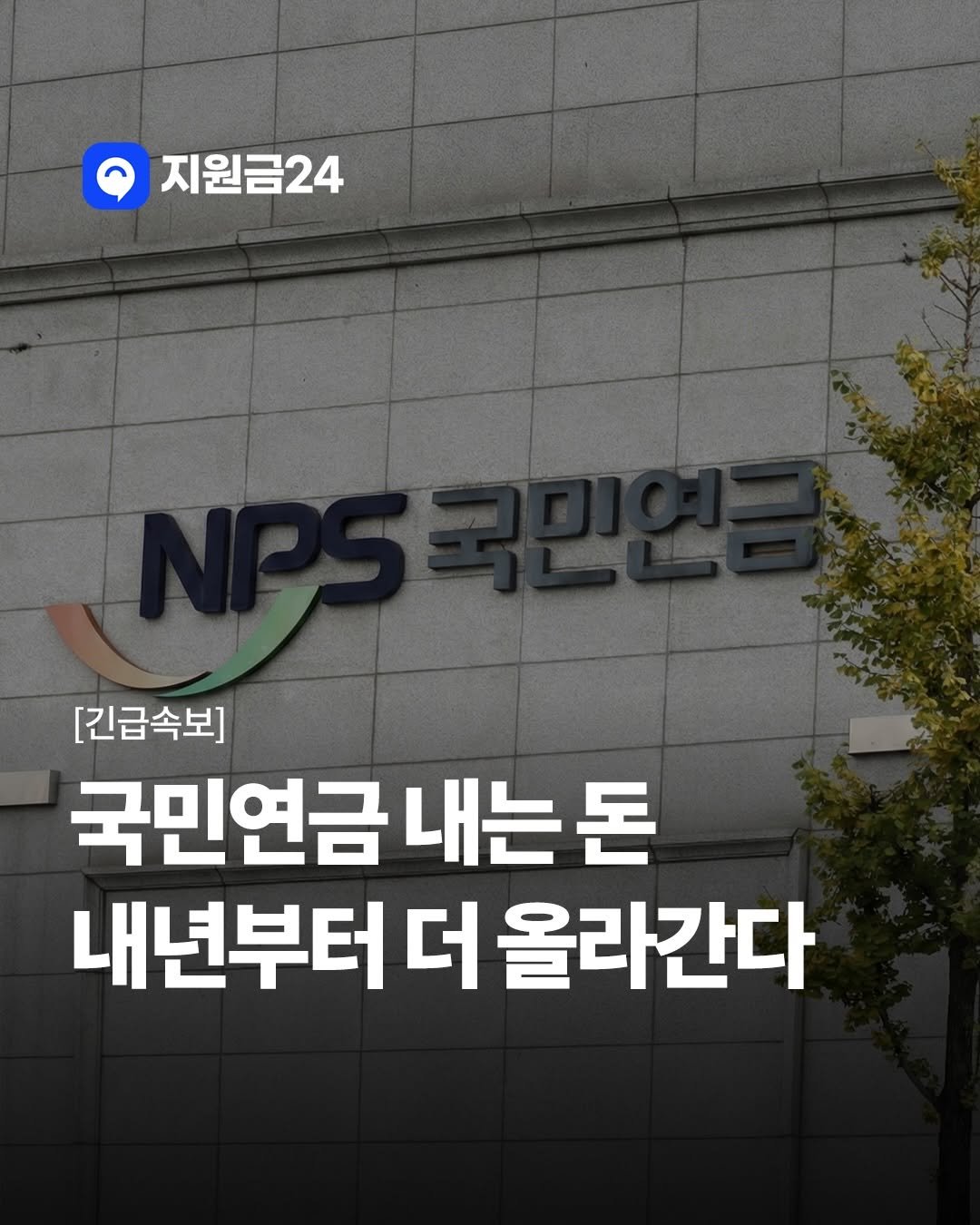 Photo by 지원금24 | 정부·복지·월세 지원금·숨은 보조금 신청방법 알리미 on December 04, 2025. May be an image of text that says '지원금24 [긴급속보] 국민연금 내는 국민연금내는돈 내는돈 돈 내년부터 더 올라간다'.