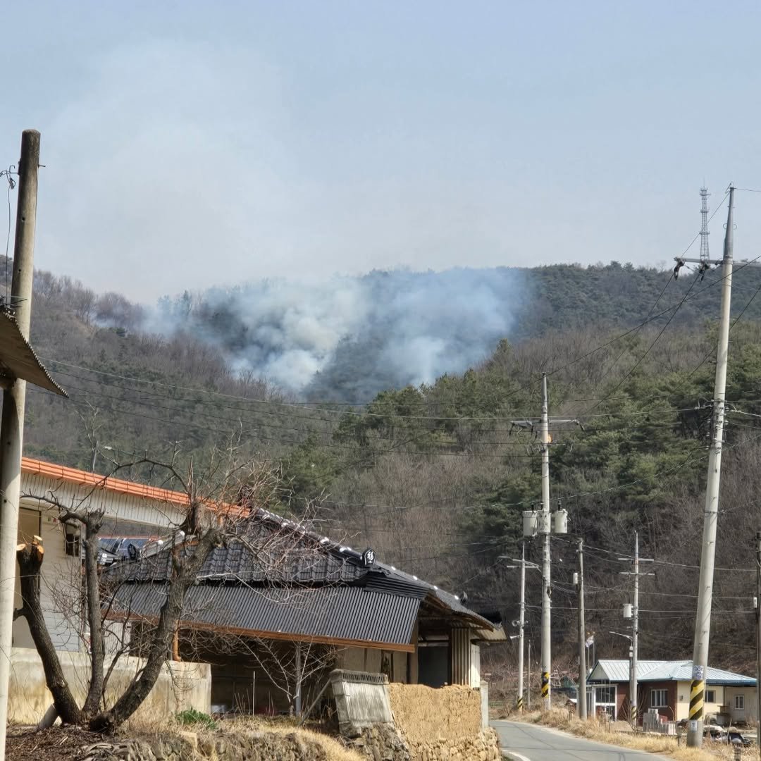 ggobulggobul_farm 게시물 이미지: 코 밑까지 내려 왔네 오늘이 우리동네는 고비네
#의성마늘
