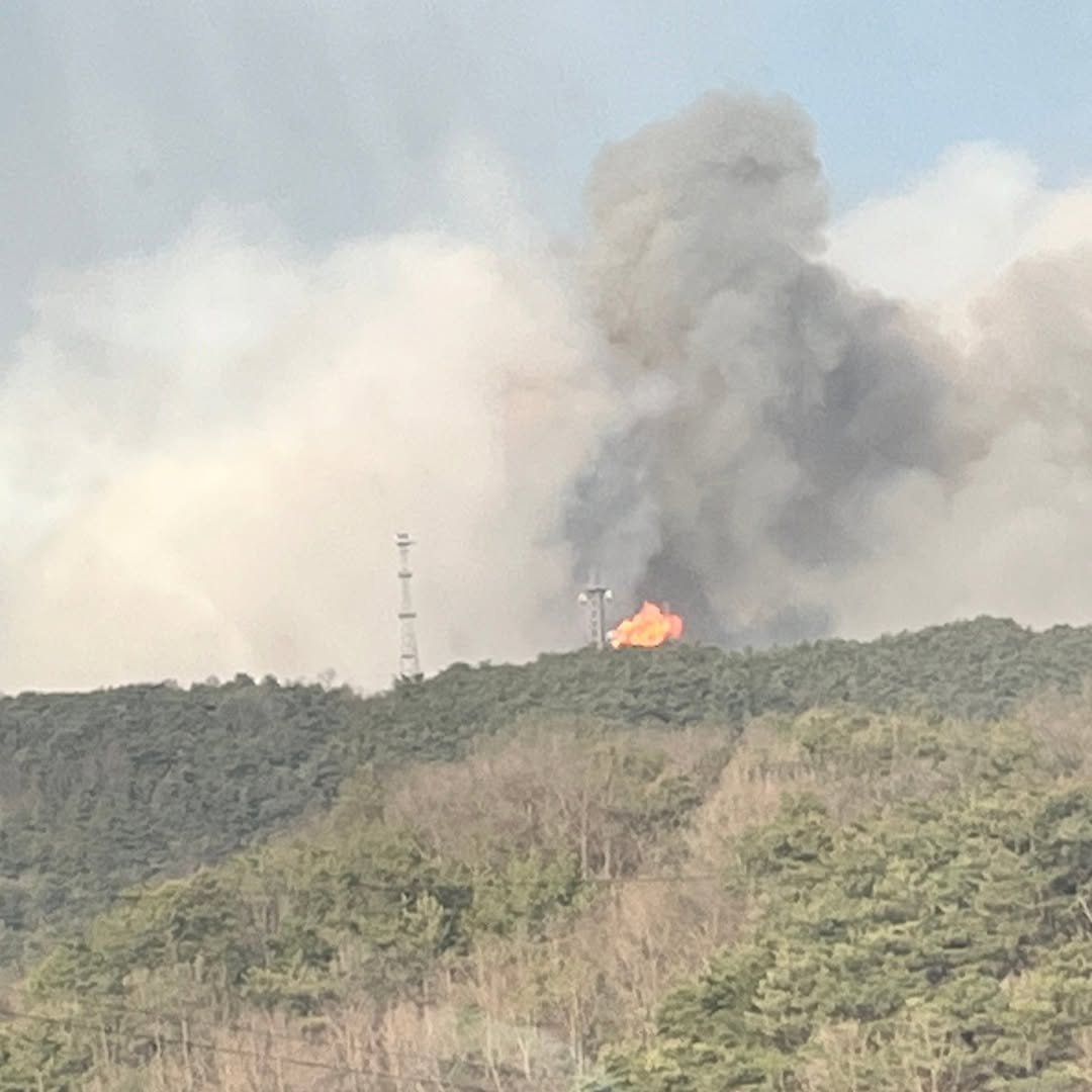 ggobulggobul_farm 게시물 이미지: 의성 안평면 한사람의 부주의로 면 전체가 난민이 따로 없네요 저희 집은 아직은...