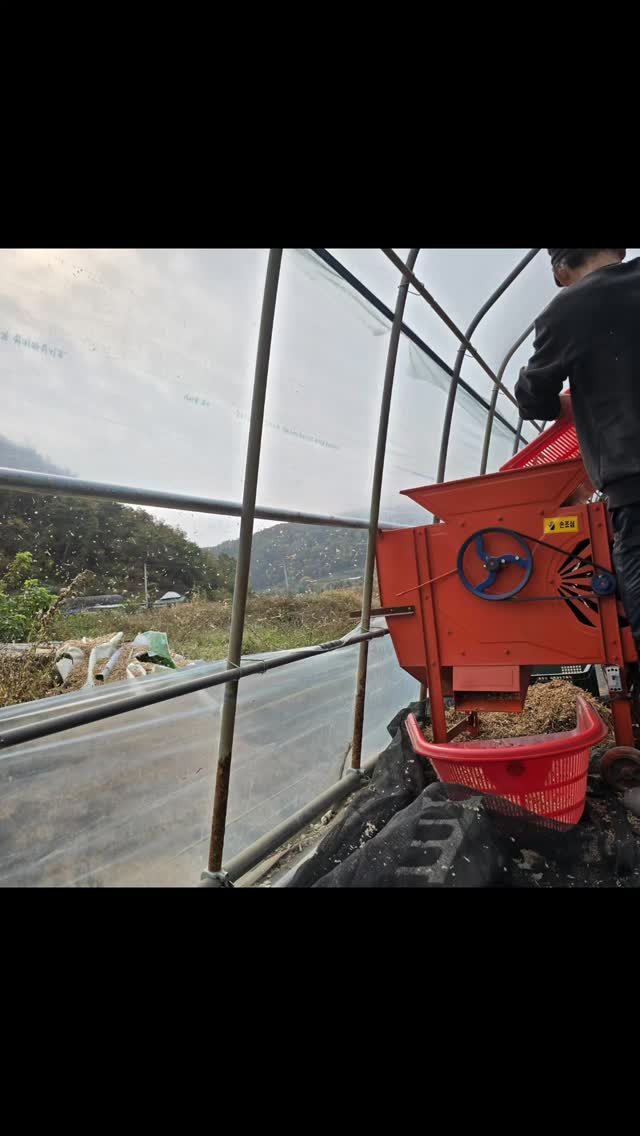 ggobulggobul_farm 게시물 이미지: #꼬불꼬불팜 
또 다시 시작 되는 마늘 파종 이번은 주아채취한 콩알 만큼이나 작은...