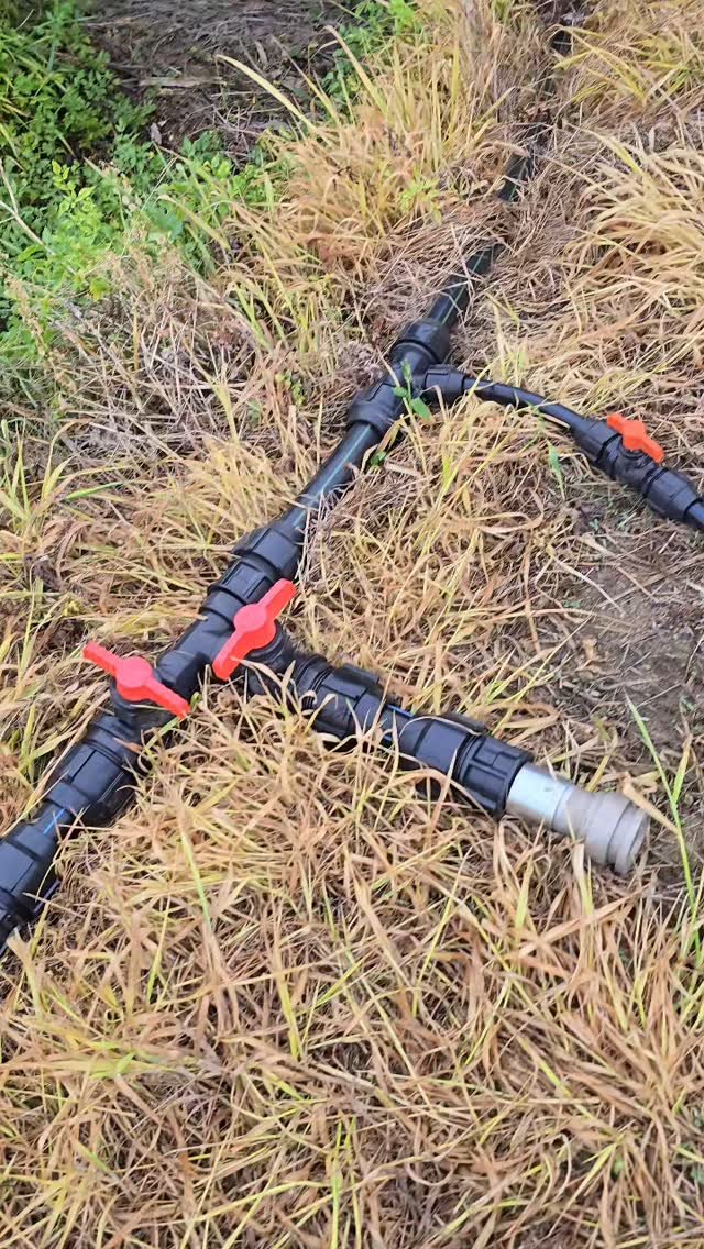 ggobulggobul_farm 게시물 이미지: #꼬불꼬불팜 
꽃상추 로메인 상추도전