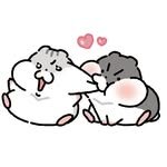 ham_jjoki 프로필 사진