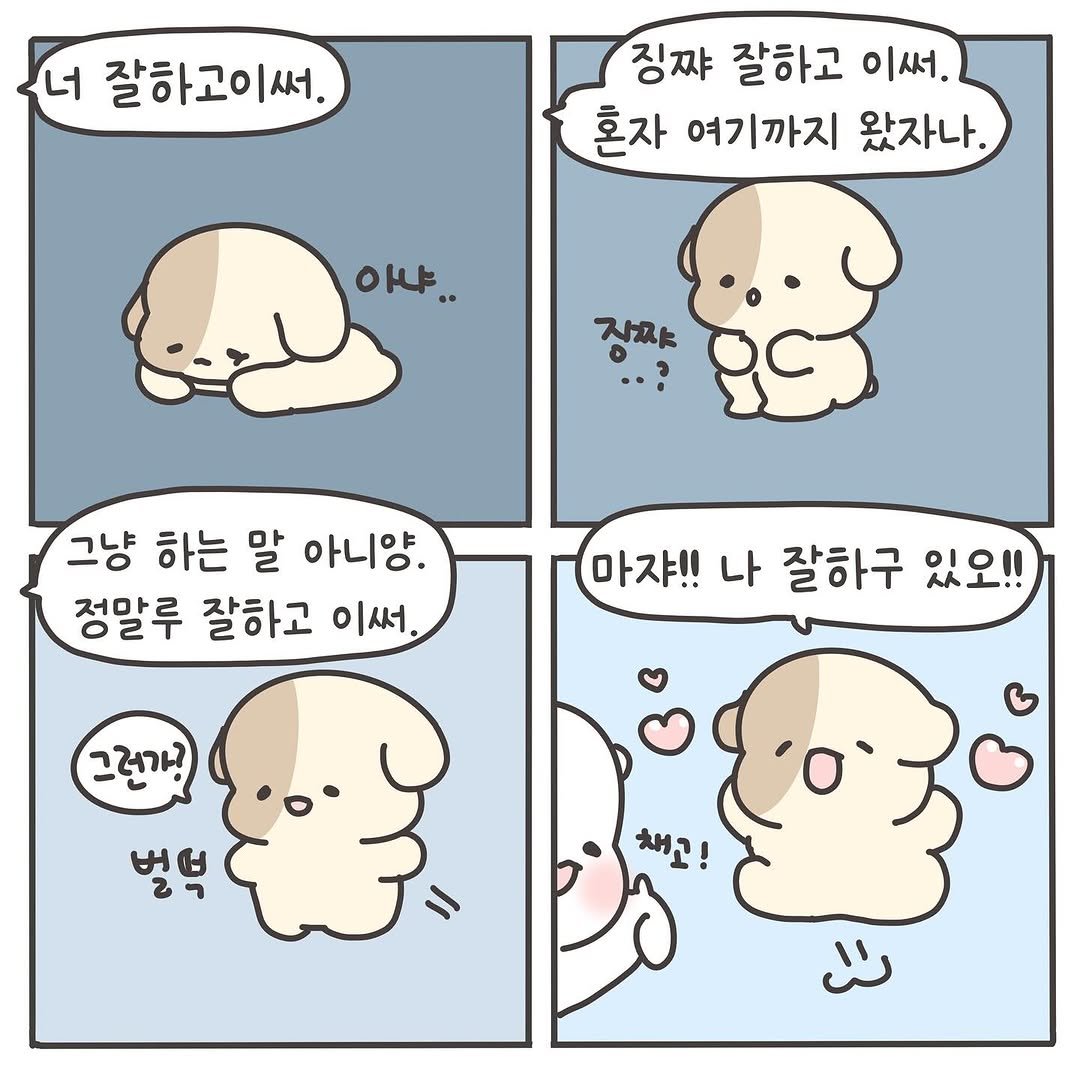 Photo by 힐링곰 꽁달이 on November 12, 2025. May be a doodle of pie and text that says '너 잘하고이써. 써. 징짜 잘하고 이써. 혼자 여기까지 왔자나. 아냐. 자짜 그냥 하는 말 아니양. 정말루 잘하고 이써 마쟈!! 나 잘하구 있오!! 그래가! 별성'.