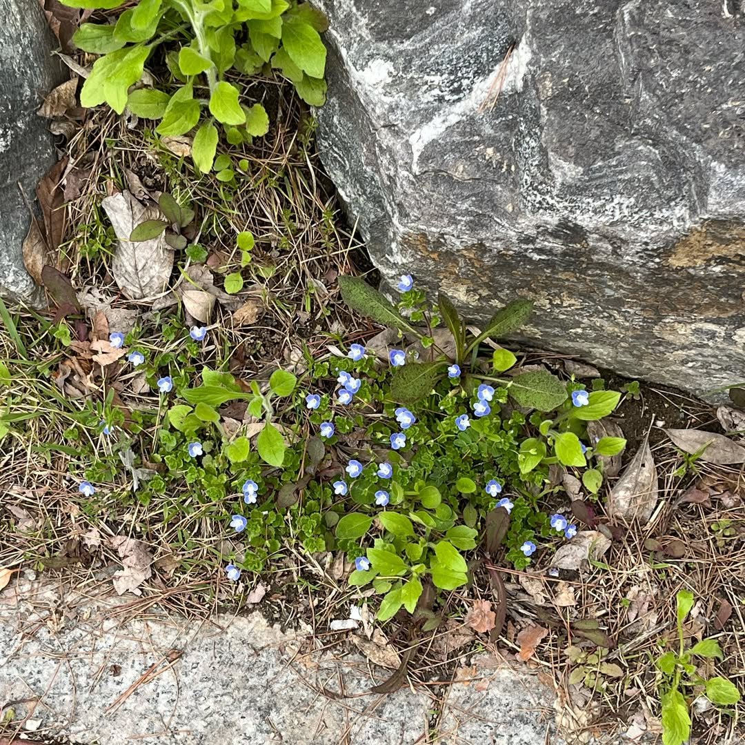 Photo by 일차 (일하는 꿀차) on April 04, 2024.