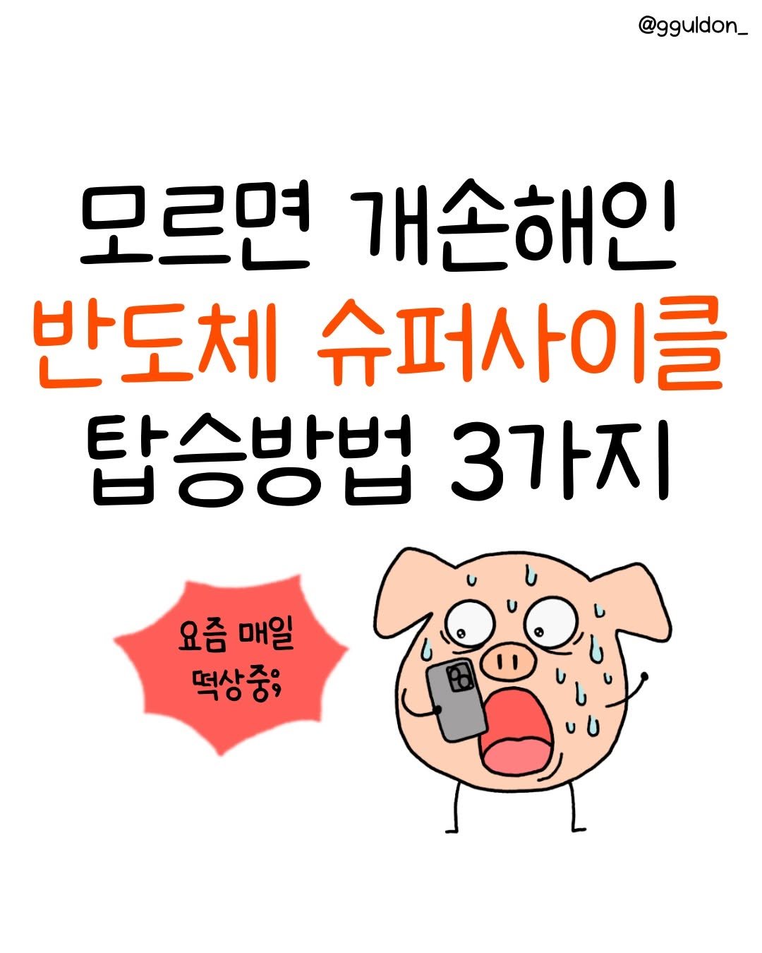 gguldon_ 게시물 이미지: 나도 반도체 슈퍼사이클 탑승하고 싶은데
삼성, 하이닉스 따로 하려니 넘 비싸서...