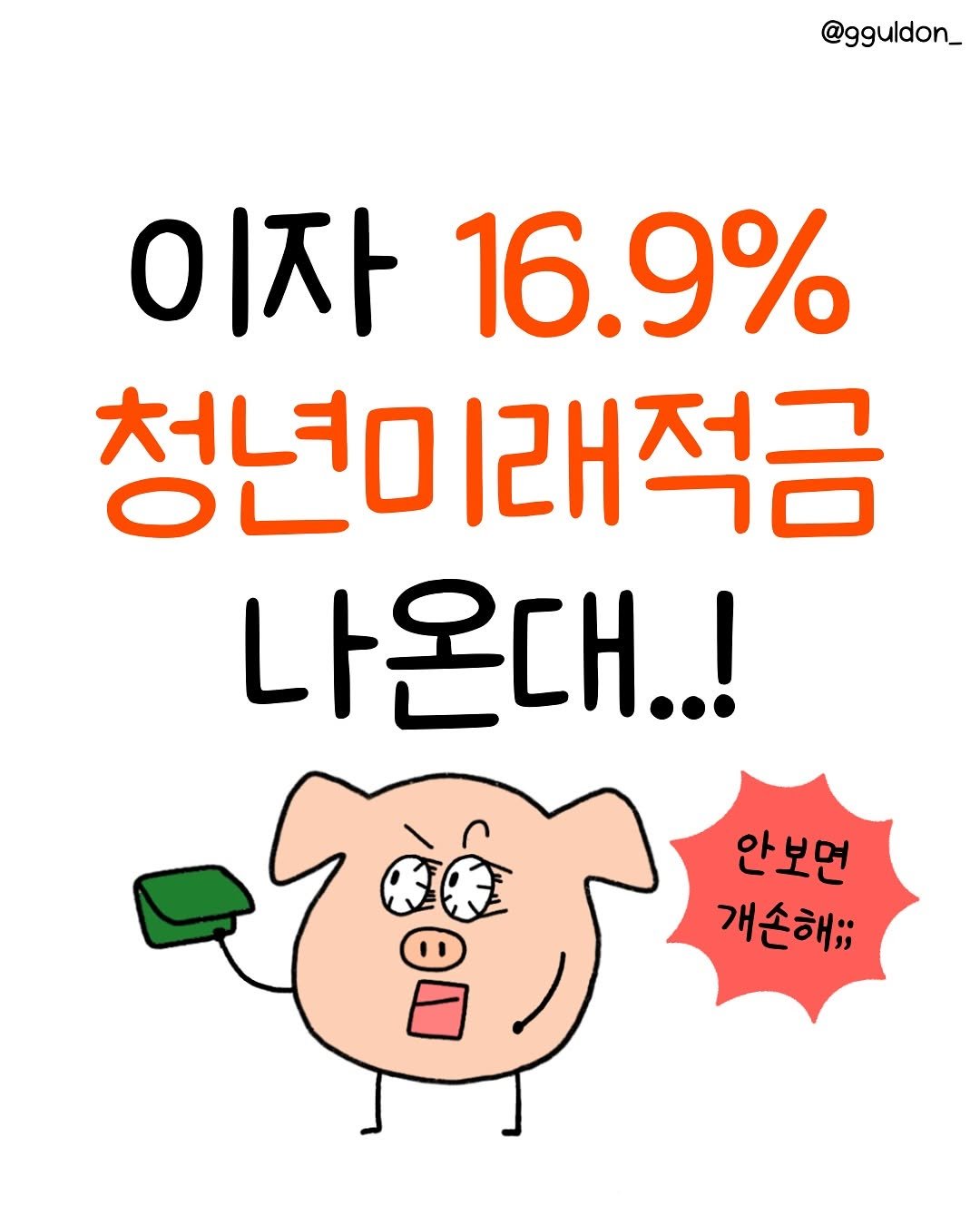 Photo by 꿀돈이 | 재테크툰 on September 02, 2025. May be an image of text that says '@gguldon_ 이자 16.9% 청년이 청년미래적금 나온대..! 안보먼 개손해;;'.