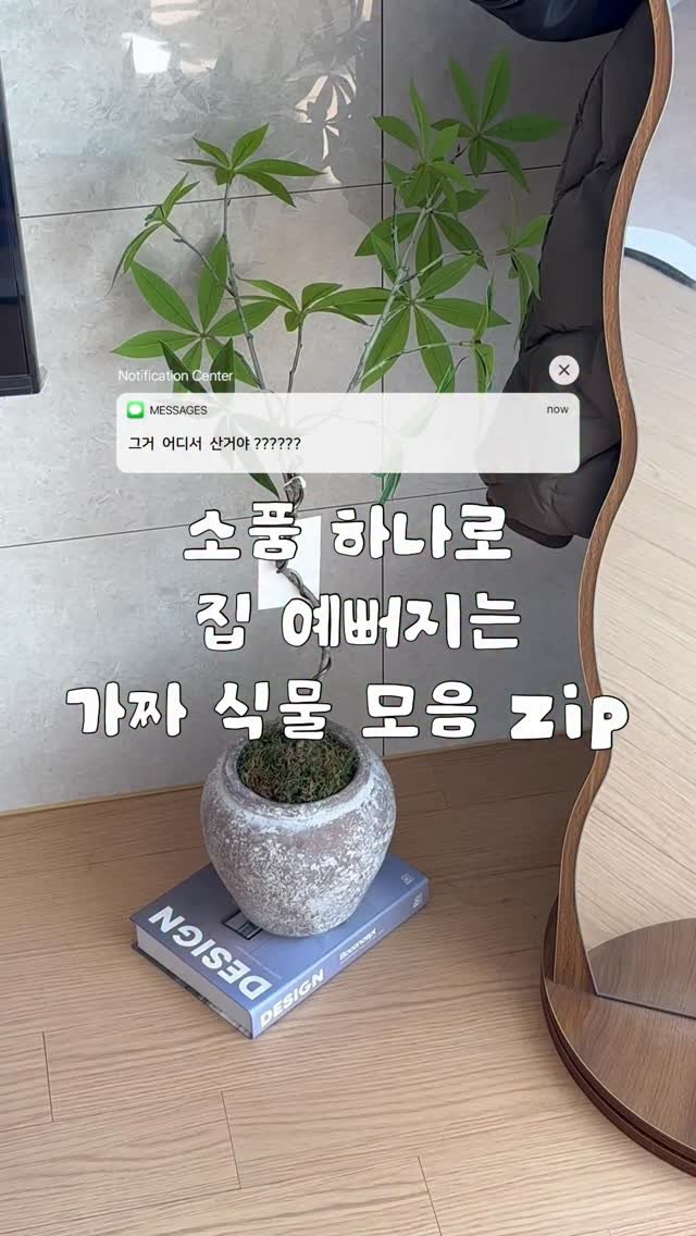 ggultem_jigi 게시물 이미지: 집꾸미기에 소질 없어도 .. 
요런거 하나 툭 두면 분위기 바껴요 ! 

✔️ 난...
