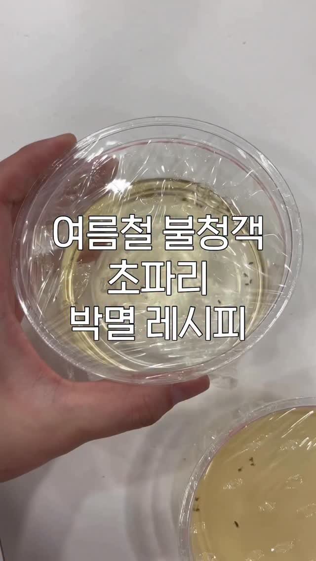 ggultem_jigi 게시물 이미지: 초파리 없앤다고 따로 돈쓰지말고 .. 
식초 , 설탕 , 주방세제는 다 있죠 ?...