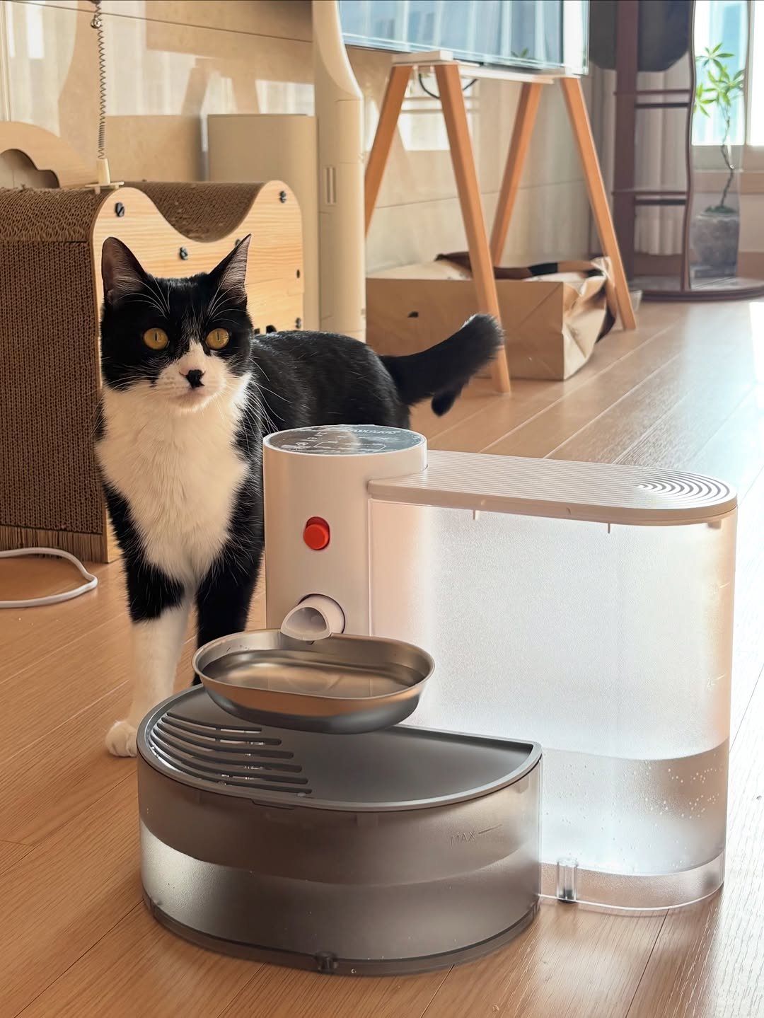 Photo shared by 꿀템(탐)지기🔎| 제 일상꿀템을 찐텐으로 소개해요 💬 on December 17, 2025 tagging @pupupets_official. May be an image of pet, water heater, water filter, petfood, thermostat and text.