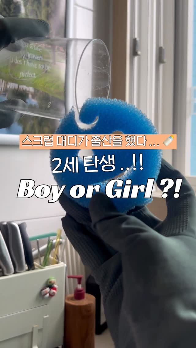 ggultem_jigi 게시물 이미지: 스크럽 대디 , 스크럽 마미의 2세
스크럽 베이비가 태어났어요 🍼👶🏻

기존 스크럽...