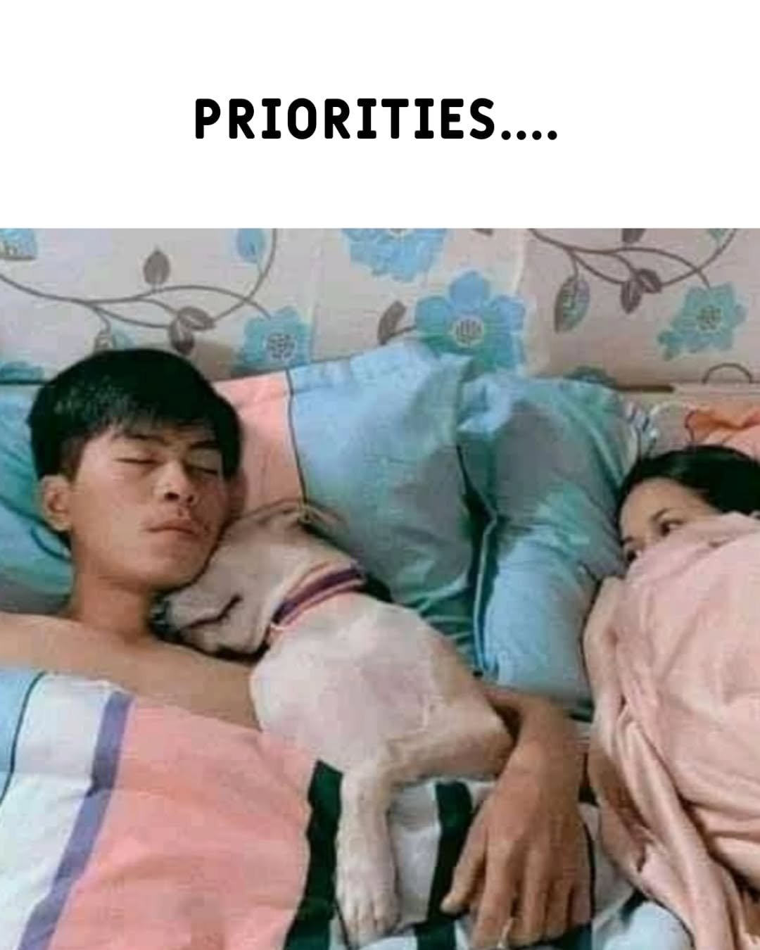 Photo by ghantaa on December 28, 2025. May be a meme of sleeping, mattress and text that says 'PRIORITIES....'.