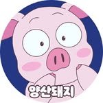 yangsanpigfood 프로필 사진