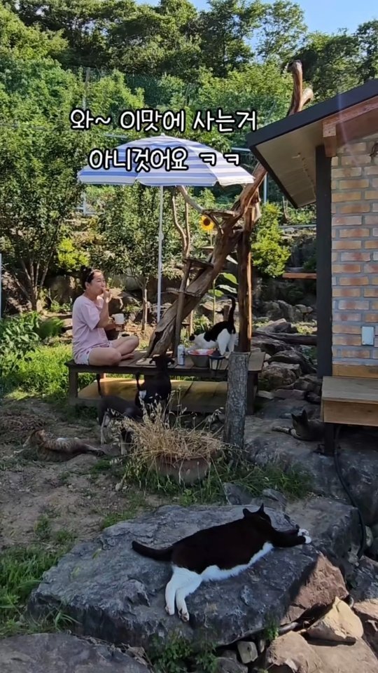 gimsuh3 게시물 이미지: ‐--------- 품절-----------

똑똑...🍑청도 산골에 농부가...