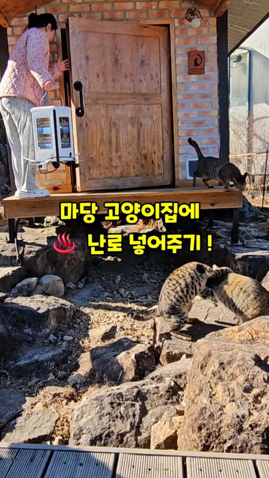 gimsuh3 게시물 이미지: -12도 한파~! ⛰️산골에 겨울은 유난히 춥고 시간은 더디게도 흘러갑니다 ~...