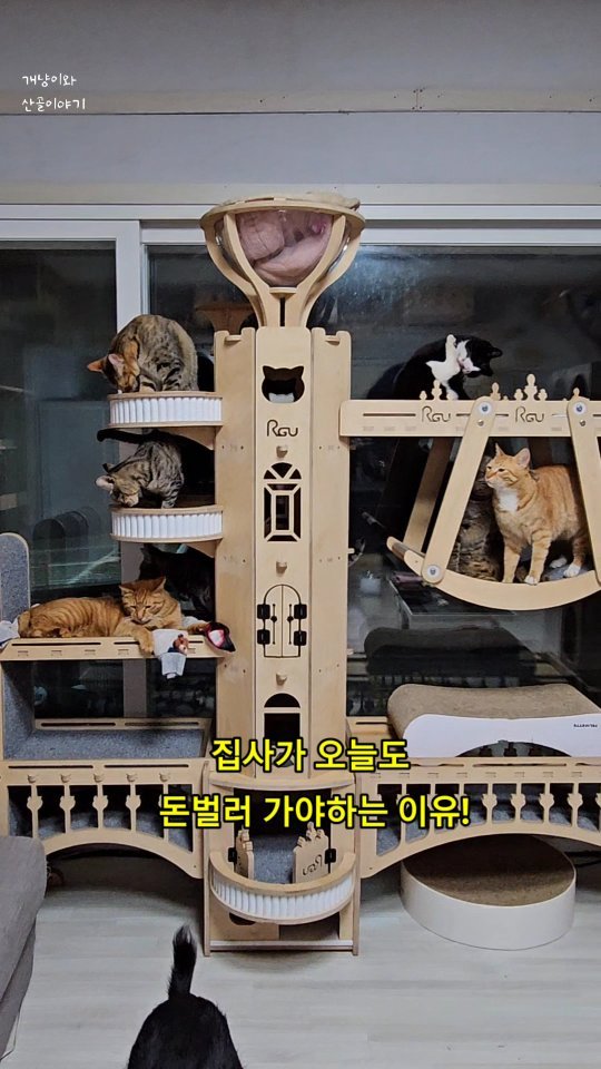 gimsuh3 게시물 이미지: 집사가 쌔가빠지게 돈을 벌러가야하는 이유!!

산골마당엔 따뜻한고양이호텔과...