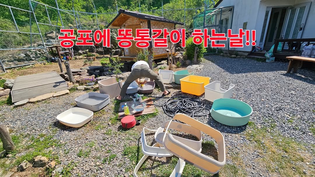 Photo by 개냥이와산골이야기 on April 25, 2026. May be an image of ‎lego, outdoors and ‎text that says '‎ርሲያዊ 공포에 공포에똥통갈이하는날!! اع 똥통갈이 न 하는날!!‎'‎‎.