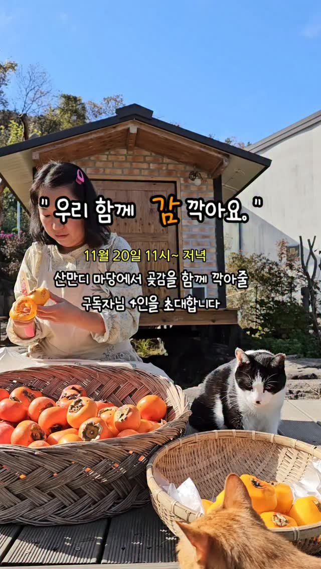 gimsuh3 게시물 이미지: ---------감동지1기 마감됐어요-------------

안녕하세요...