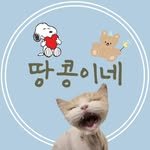 share_the_cat 프로필 사진