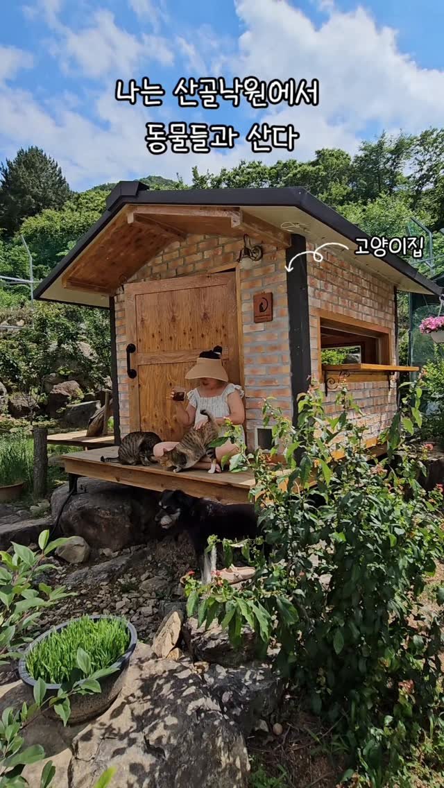 gimsuh3 게시물 이미지: 고된하루중 지금이 유일하게 가장 행복한 시간이 아닐까요?
나는 산골낙원에서...
