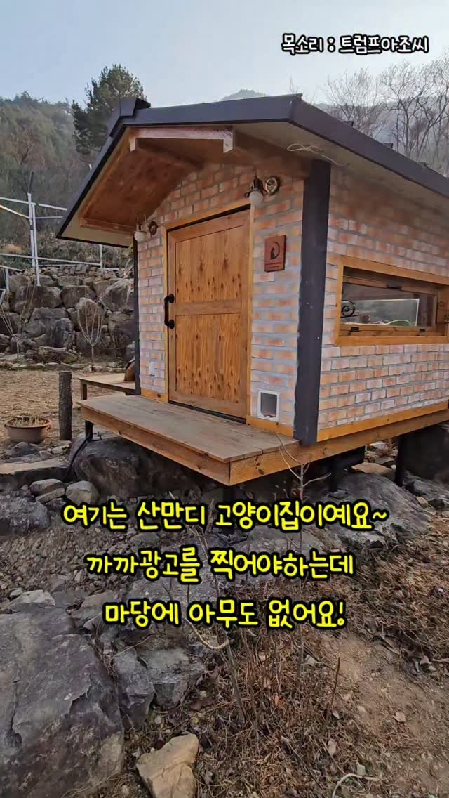 gimsuh3 게시물 이미지: 산골아이들 ~과자광고가 들어왔는데..
12마리 모델쓰~들이 전부 부재중입니다...