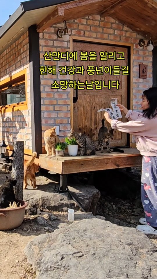 gimsuh3 게시물 이미지: 산골에 봄이왔어요~🌸
2월4일 첫번째 절기인 입춘!
봄의 시작을 알립니다...