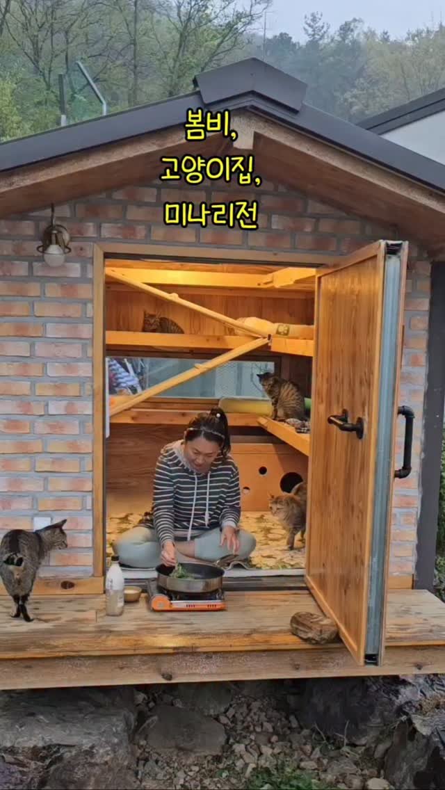 gimsuh3 게시물 이미지: 대크에 처마달돈으로 고양이집을 지어주었어요ㅋ
그래서 비오는날은 비피할곳이...
