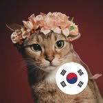 chacha.catmodel 프로필 사진