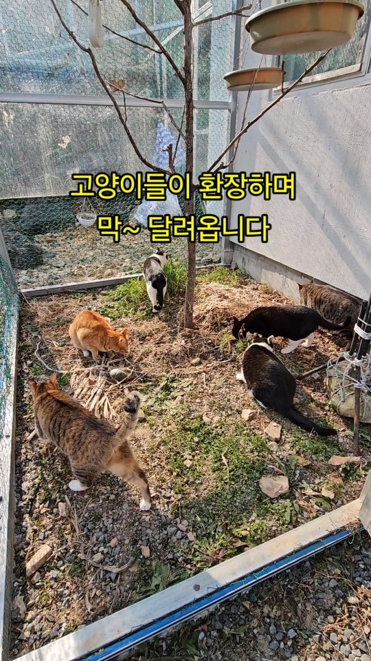 gimsuh3 게시물 이미지: 한겨울, 금보다 더귀한것이 있는 산골짜기^^

세상이 꽁꽁얼어붙은 1월
아침마다...