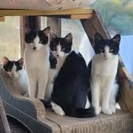 gimsuh3 인스타그램 프로필 사진