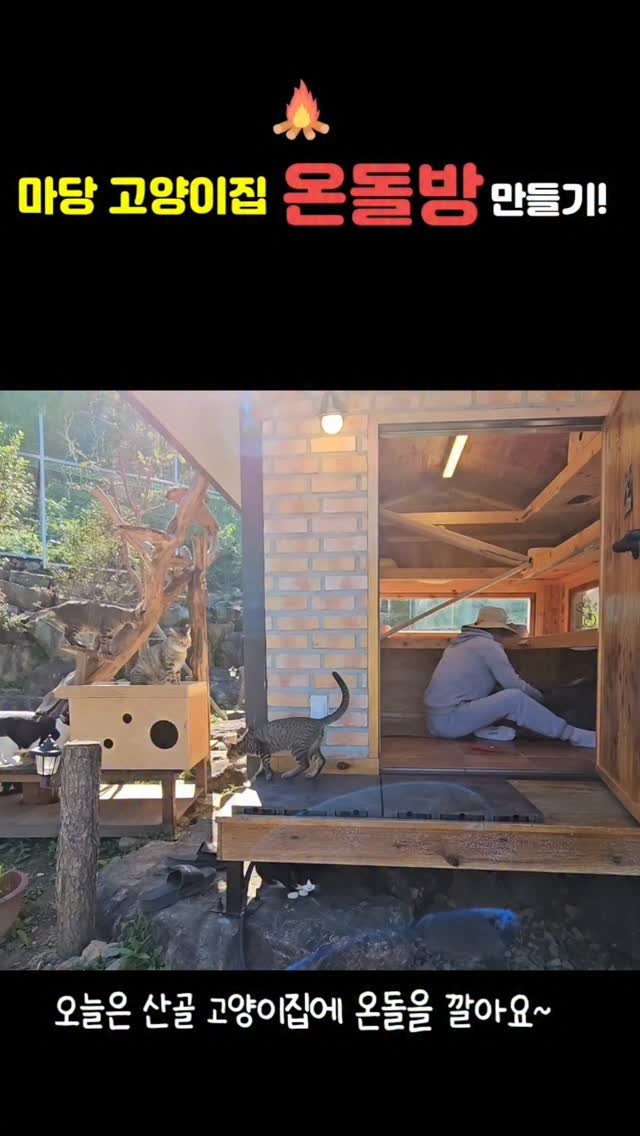 gimsuh3 게시물 이미지: 산만디⛰️에 벌써 얼음이 얼기시작하고~ ☃️
마당고양이집에 단열이 늘...