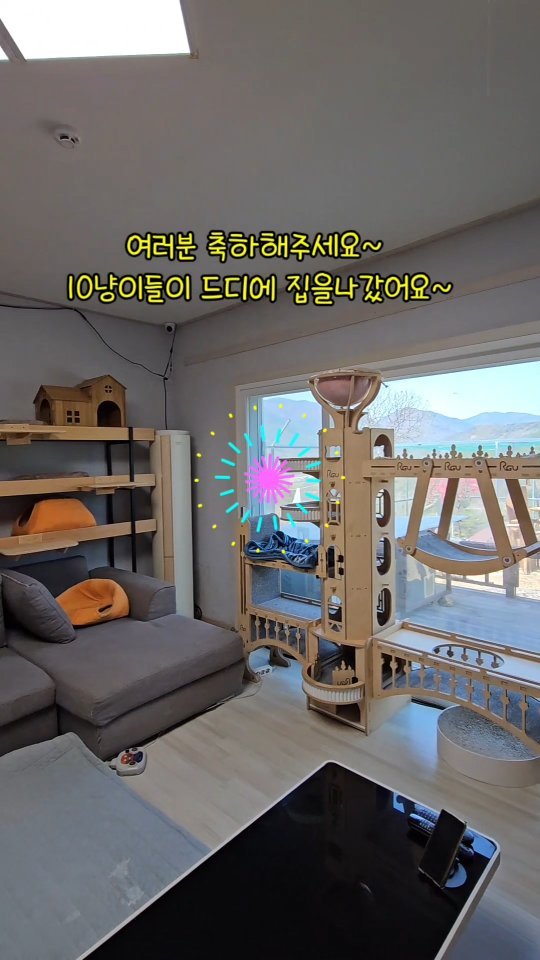 gimsuh3 게시물 이미지: 10냥이들이 전부 집나간이유..🤪
산골 아이들은 4월~9월말까지 집에 없어요~...