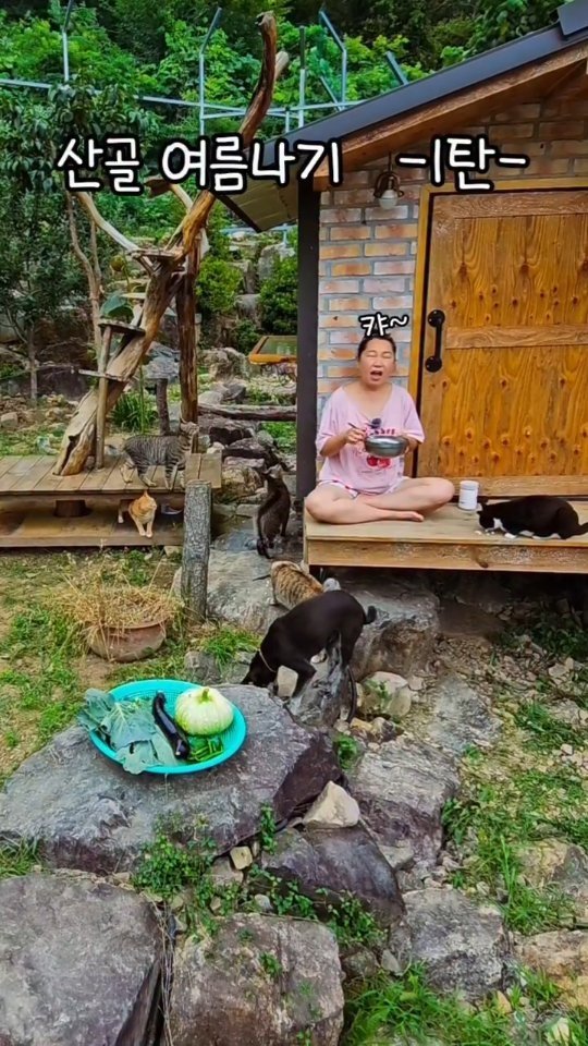 gimsuh3 게시물 이미지: 고양이들이 하도 떵싸고 쉬하고 발로삐대서 늘 흉작이였는데요~ ㅋ 
올핸 어쩐일로...