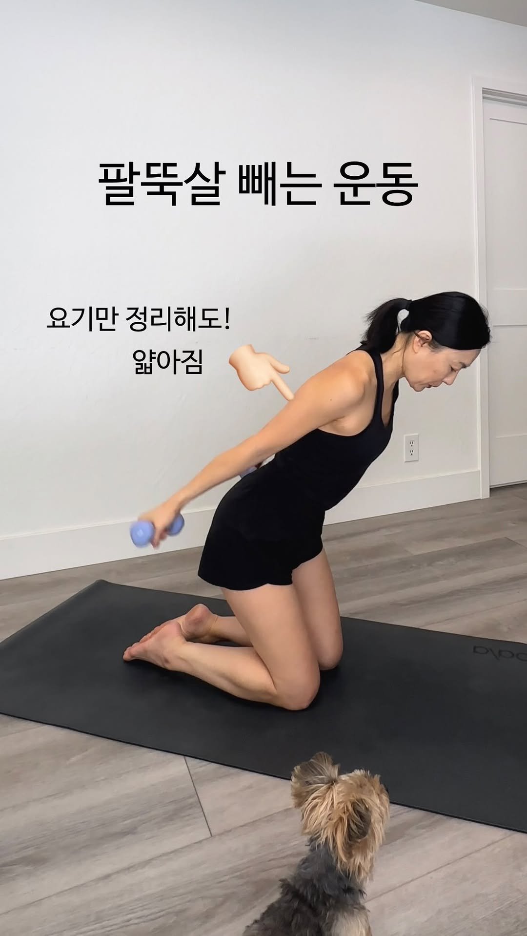 ginafitt_ 게시물 이미지: 🔸DAY28🔸매일10분 운동 👉🏻 팔뚝살 빼는 운동 

여기만 정리해도 
팔뚝살...