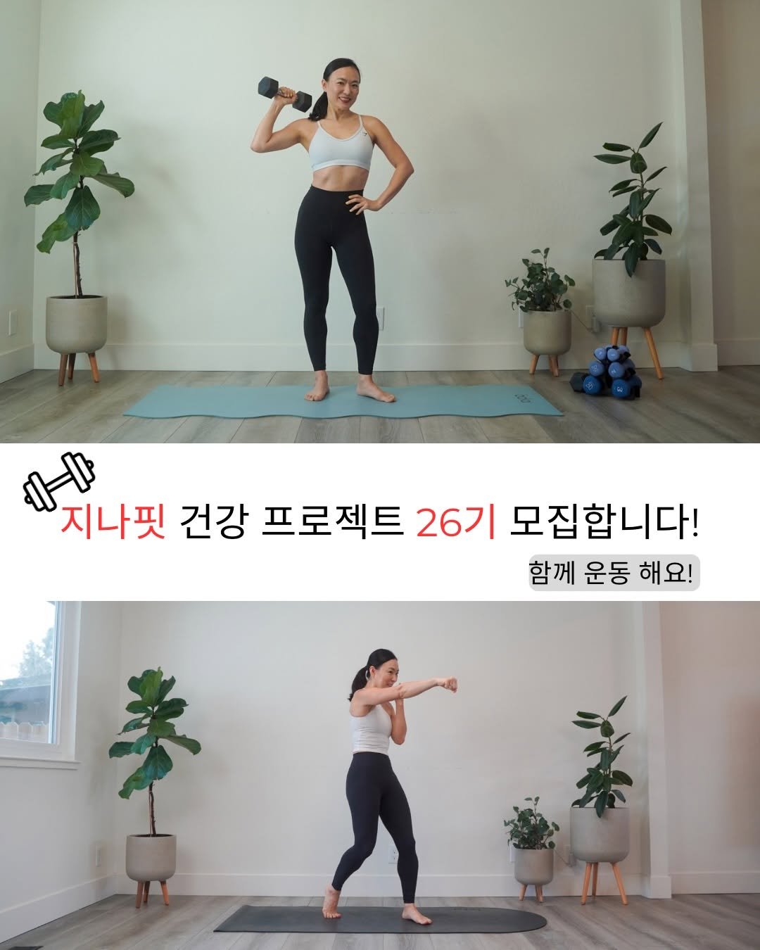 Photo by 지나핏 홈트 Gina Jiyeon Lee on April 24, 2026. May be an image of yoga and text that says '화 지나핏 건강 프로젝트 26기 모집합니다! 함께 운동 해 해요! 奉'.