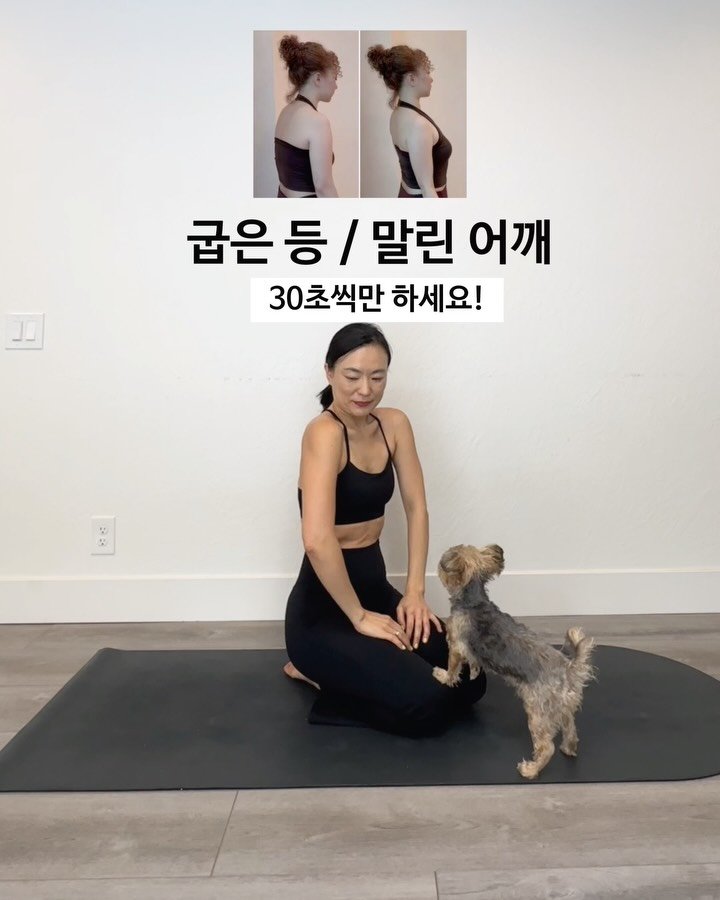 ginafitt_ 게시물 이미지: 🔸DAY26🔸매일 10 분 운동 👉🏻 굽은 등 / 말린 어깨 스트레칭 

동작마다...