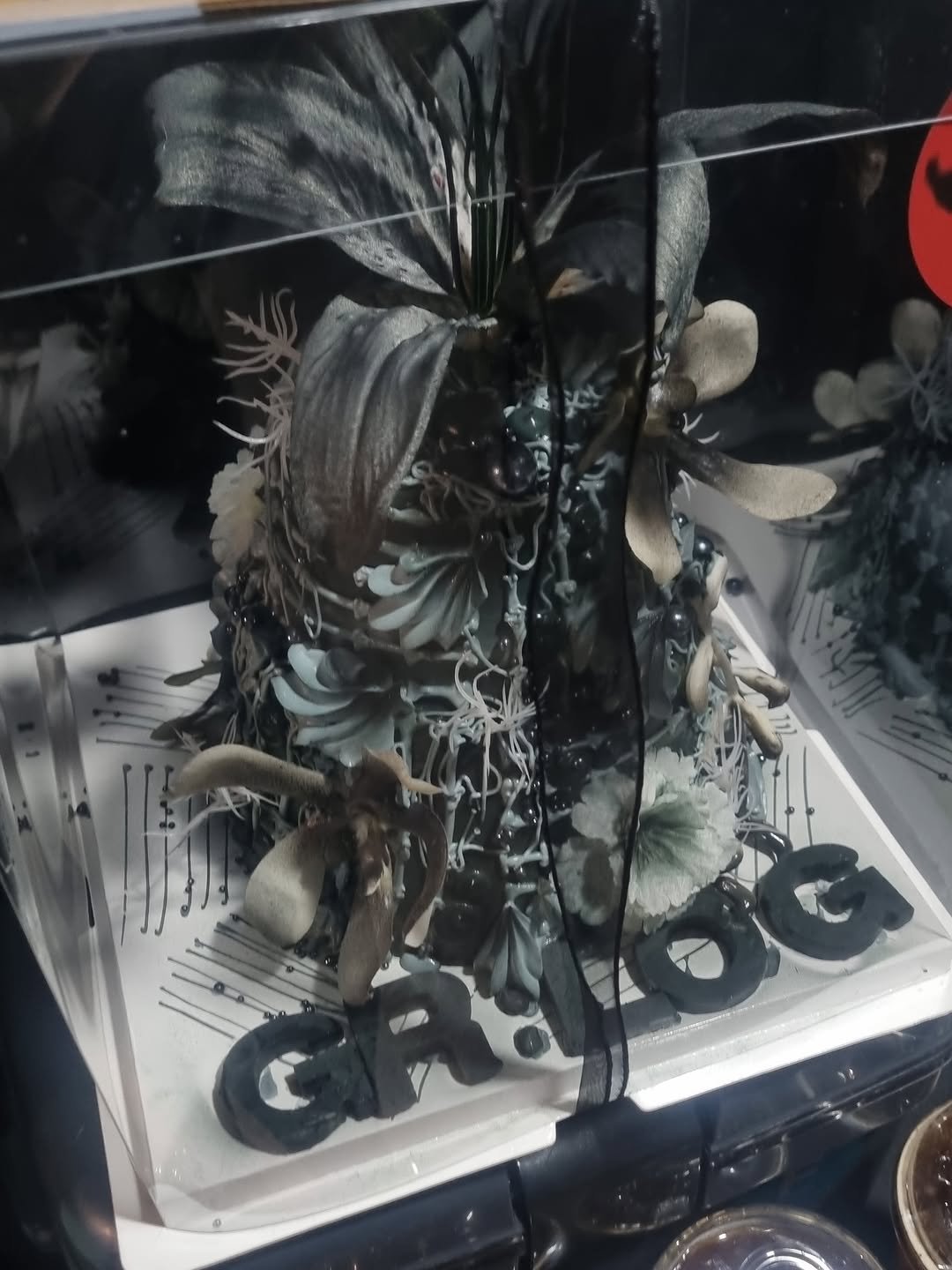 Photo by 기리보이 WSH on March 16, 2026. May be an image of one or more people, makeup, shadow box and text.