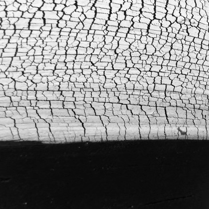 Photo shared by 기록상점 on June 28, 2024 tagging @girok_mansion, @christoplant, and @detaliat_artproject.