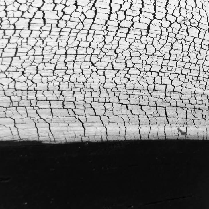 Photo shared by 기록상점 on June 28, 2024 tagging @girok_mansion, @christoplant, and @detaliat_artproject.