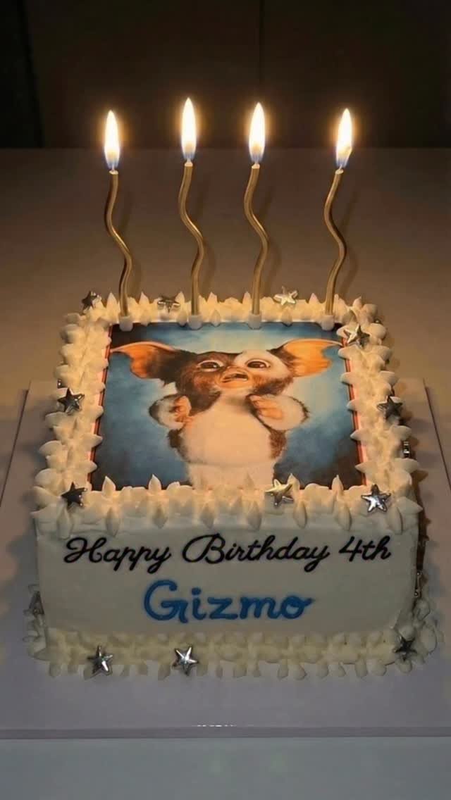gizmo_kr_ 게시물 이미지: 어느덧 기즈모가 벌써 4살!!!!!⭐️

2022년 3월, 설레는 마음으로 첫...