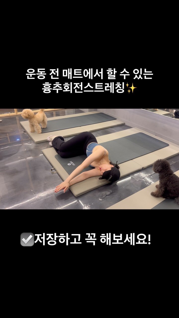 gkgus13 게시물 이미지: (감시하는 크림,베리)
하루 종일 앉아있다 보면
상체 회전이 점점 굳어갑니다...