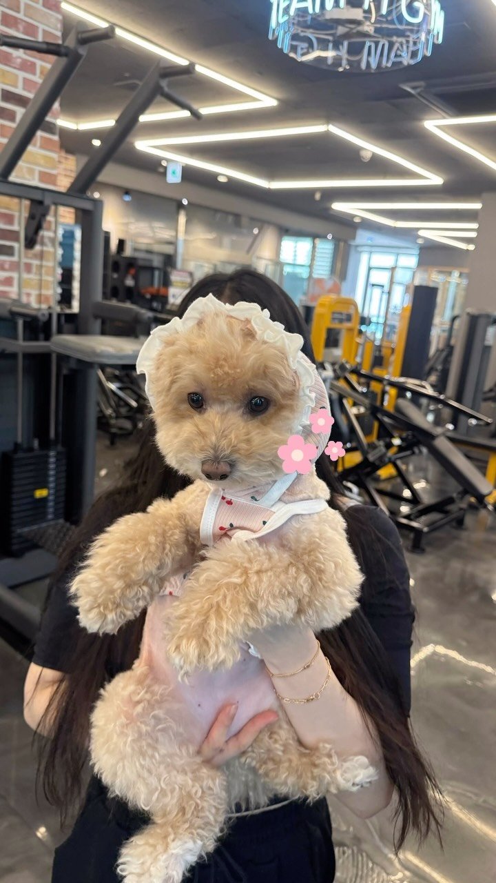 gkgus13 게시물 이미지: 우리 이쁜이 좀 보고가세용🌸💕ㅋㅋㅋ
사실 모자가아니고 베리가 자기 옷 어깨부분을 다...