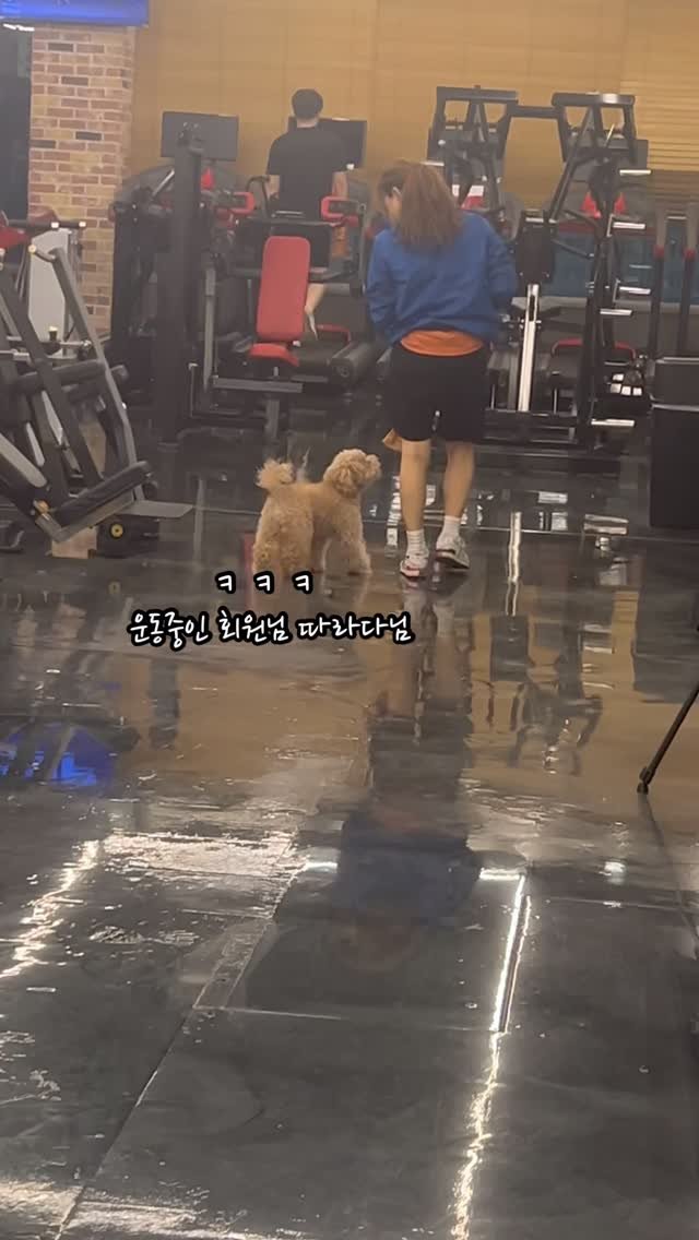 gkgus13 게시물 이미지: 아 진짜 윤크림씌 ㅋㅋㅋㅋ 
매력터지눼😆🤭💓
애들 준다고 간식 가져와주신 회원님...