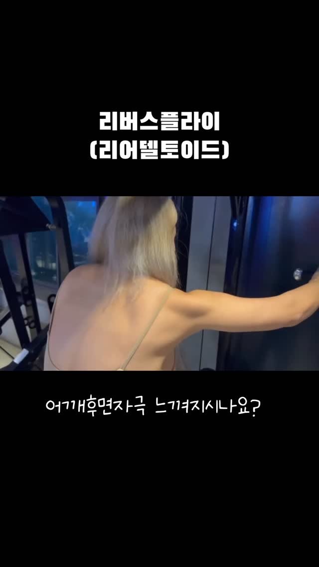 gkgus13 게시물 이미지: 어깨 운동 열심히 하는데 라인이 안 살아난다면?
놓치고 있는 건 ‘후면 삼각근’일...