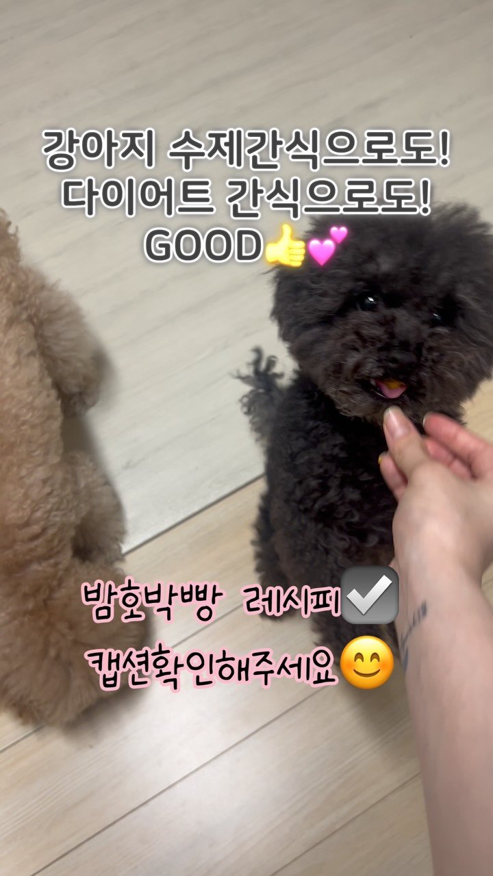gkgus13 게시물 이미지: 강아지수제간식으로도 다이어트간식으로도 좋은 밤호박빵 꼭 드셔보시고 우리 가나디들도...