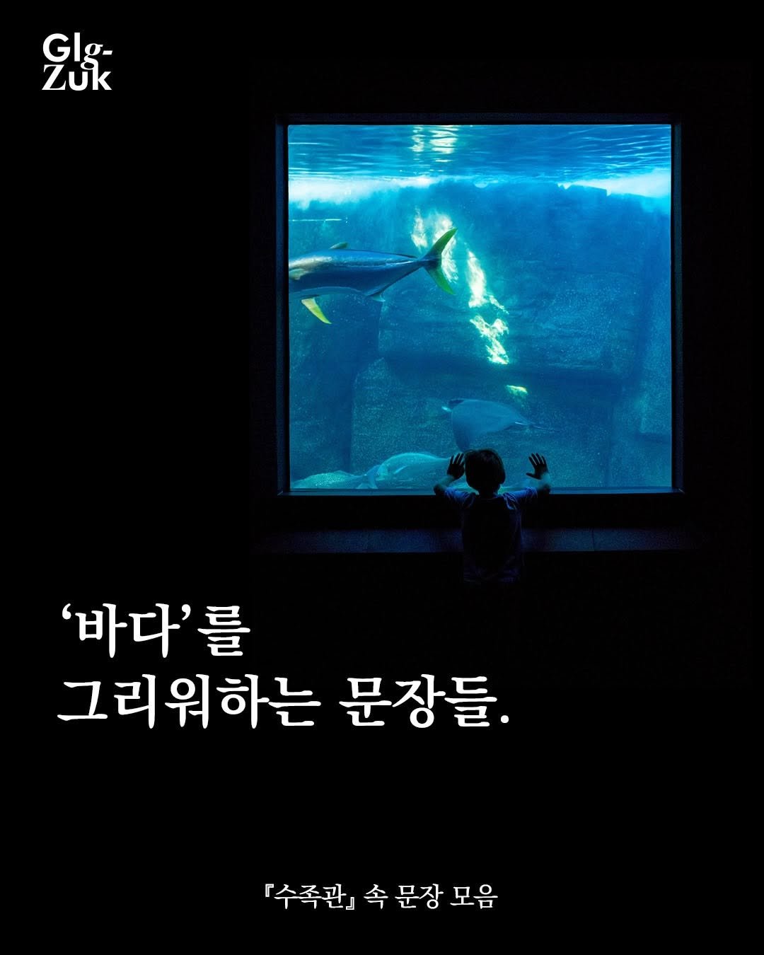 glgzuk 게시물 이미지: #ad
바다에 가지 못하면 수족관에 가자.

유래혁 『수족관』 (2026)

<책...