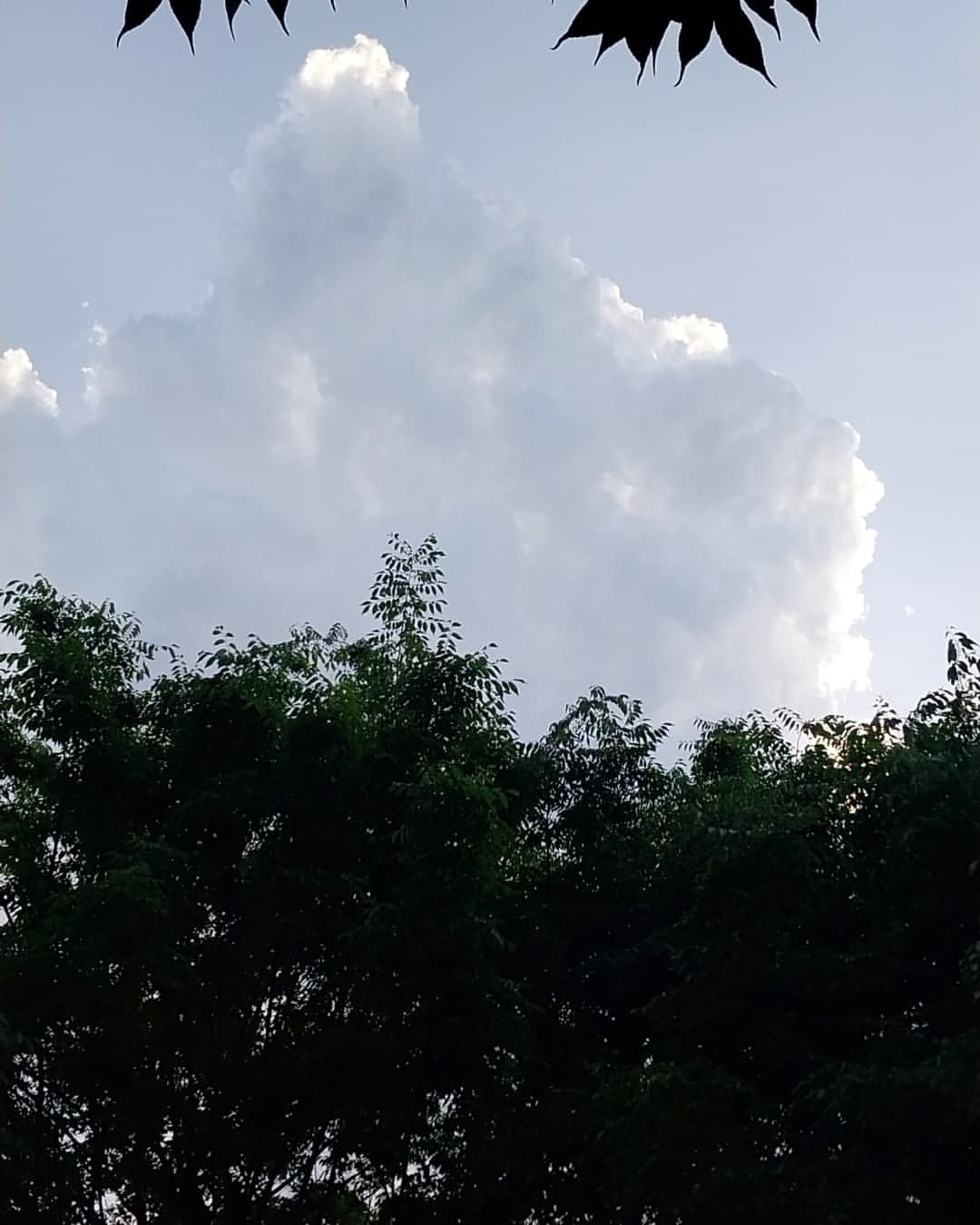 Photo by 지식공동체 그믐 l 온라인 독서모임 플랫폼 on June 01, 2025.