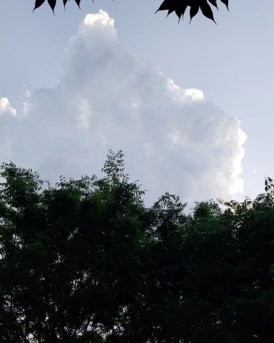 Photo by 지식공동체 그믐 l 온라인 독서모임 플랫폼 on June 01, 2025.