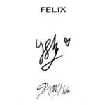 felix.straykids 프로필 사진