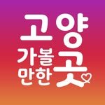 goyang.gogo 프로필 사진