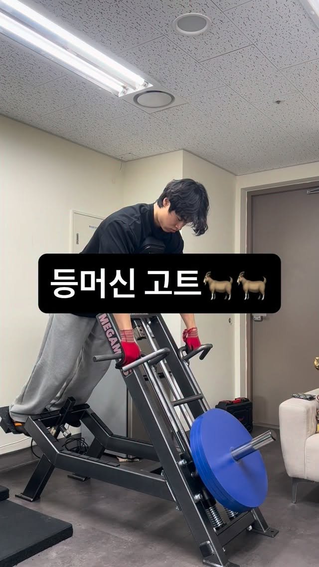 goat__strength 게시물 이미지: 5개월 만에 입고..🔥

@megamass_korea